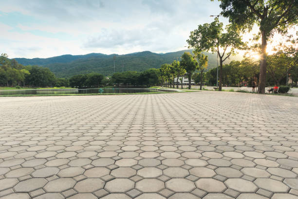 Best Residential Driveway Paver Services  in Seneca, IL